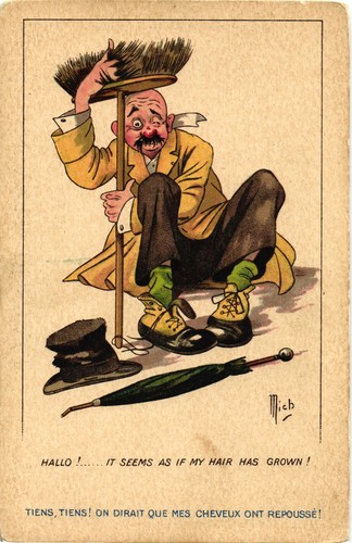 Signed mich umoristica - signed,
