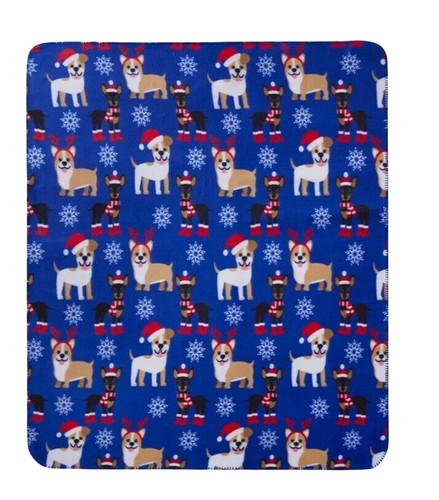 Miniatura pinscher corgi - miniatura,