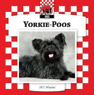 Yorkie poos wheeler jill - yorkie-poos, by