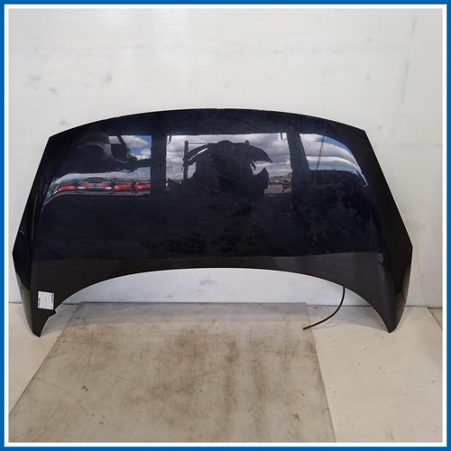 Cofano motore renault - cofano,