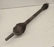 9659317980 Semialbero ant