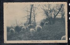 Cartolina Biella Pascoli