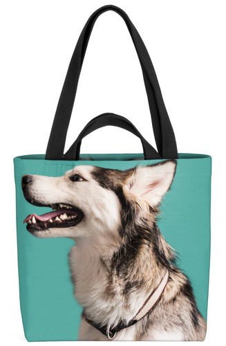 Borsa husky alsaka - husky,