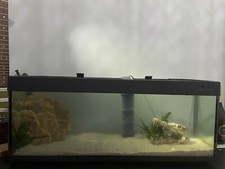 MTB Acquari Milo 100 Litri Leggere Info