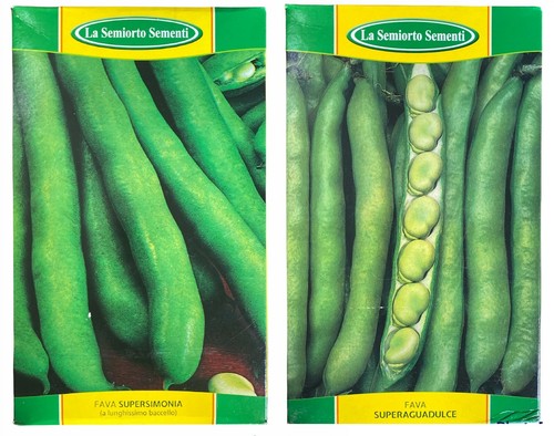 Semi fava fave - semi, semina