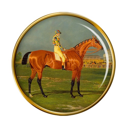 Cavallo corsa menmon con - cavallo,