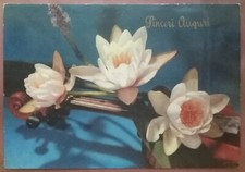 SINCERI AUGURI - CARTOLINA