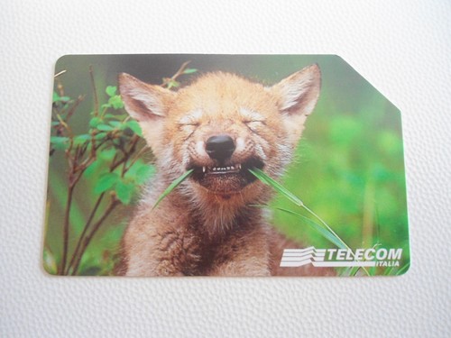 Schede telefoniche animali - schede,