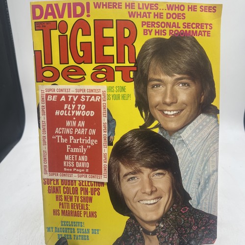 1971 march tiger beat magazine - 1971,