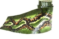 vera pelle di serpente Cobra