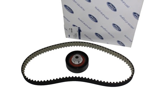 Kit cinghia distribuzione - cinghia,