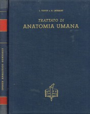 Indice analitico generale del