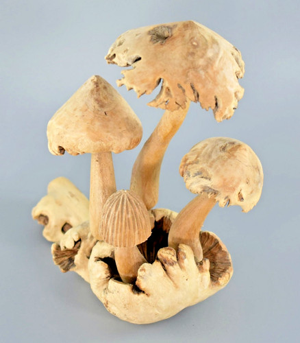 Ornamento scultura fungo - ornamento,