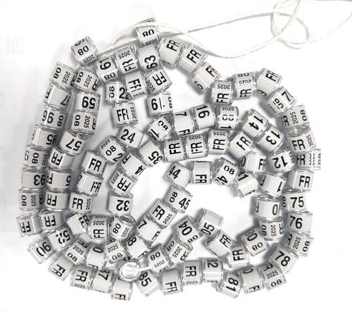 Anelli uccelli plastica - uccelli,