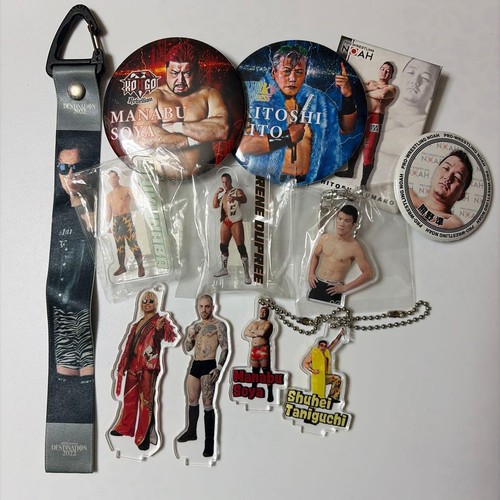 Set portachiavi pro - portachiavi, wrestling