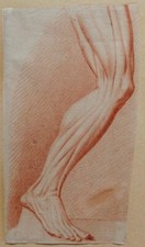 DISEGNO Antico Ante Humain