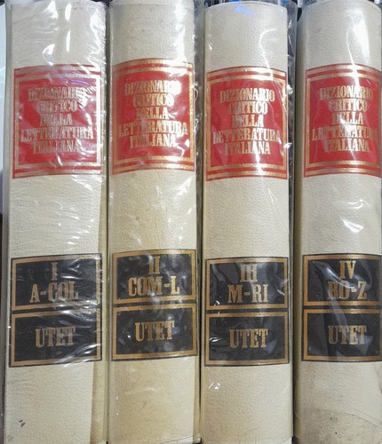 Dizionario critico della