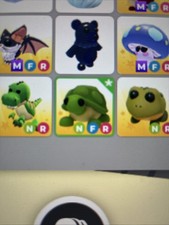 Tartaruga nfr roblox - nfr,