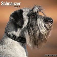 Schnauzer Calendario da Parete