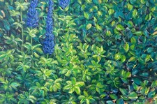 Fiori di lupino in giardino