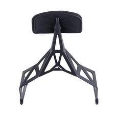 Stainless Steel Sissy Bar with