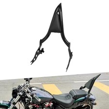 Passenger Sissy Bar One-piece