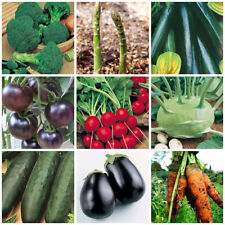 450 SEMI VEGETALI MEGA CONFEZIONE 9 VARIETÀ