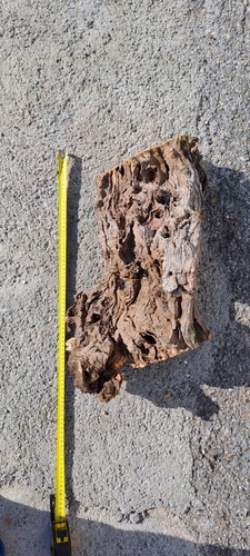 Legno ulivo per - ulivo,