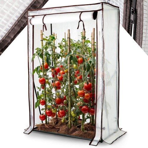 Arebos serra per - per, pomodori