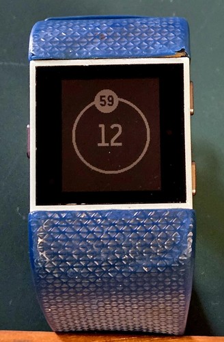 Fitbit surge activity - fitbit,