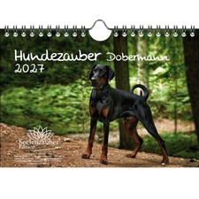 Magia per cani Dobermann DIN