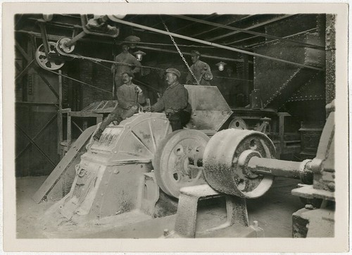 Foto trampus silver print - foto,