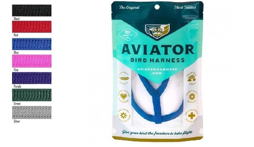Pettorina pappagalli aviator - pettorina,