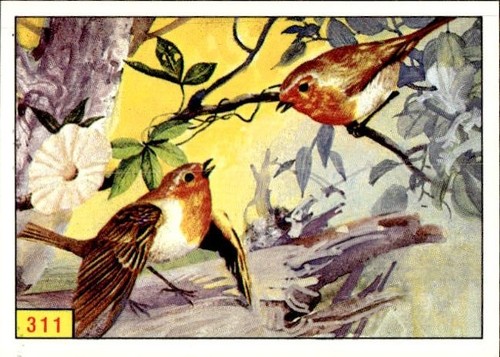 Figurina uccelli panini - figurina,