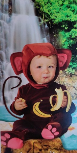 Costume carnevale scimmia - costume,
