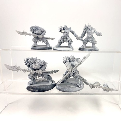 Blighted ogrun warmongers - x5,