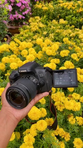 Canon 750d fotocamera - 750d,