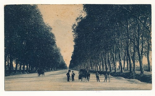 Campania cartolina - campania,