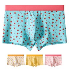 Men Print Boxer Briefs