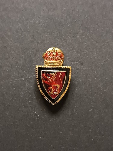 Pins pin badge spilla stemma - badge,