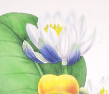 1841, J.W. LOUDON 1° EDIZIONE. FINISSIME ANTICHE PIANTE PERENNI ORIGINALI ACQUERELLO YEM