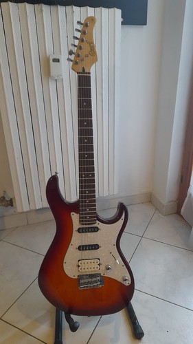 Vendo chitarra elettrica - , cort