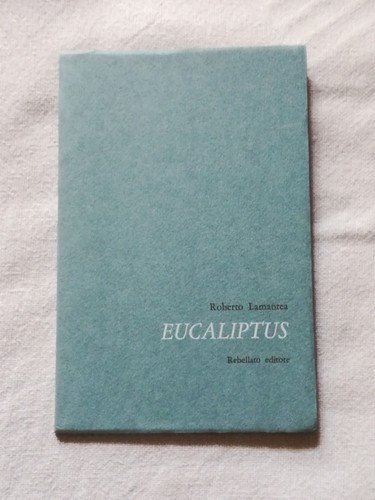 Eucaliptus roberto lamantea - eucaliptus;,