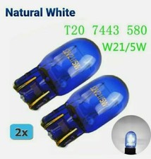 Coppia lampadine diurne - coppia,