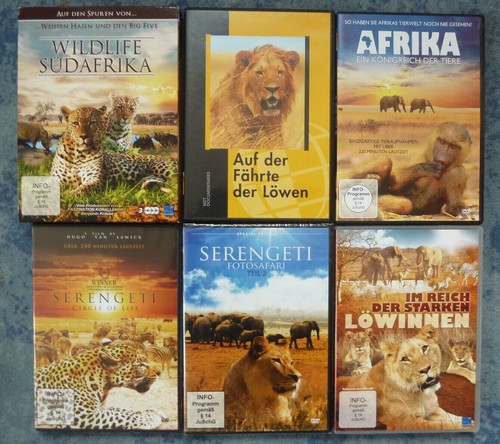 Versch dokus afrika löwen - versch., afrika: