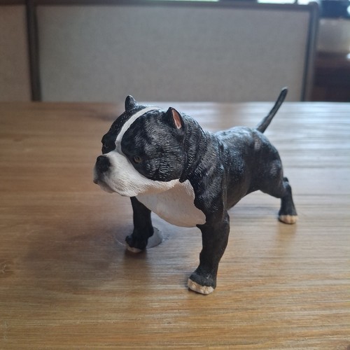 Statuina cane pitbull bullo