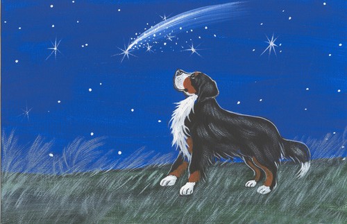 Stampa cane montagna - da,