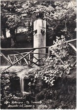 MONTE FUMAIOLO - FORLI' - SORGENTE DEL TEVERE - VIAGG. 1956 -18595-