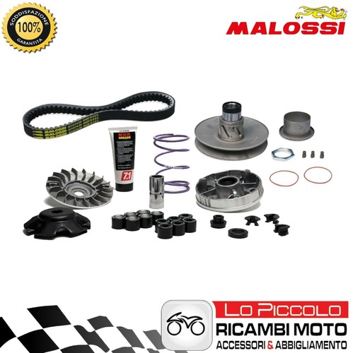 Gruppo trasmissione malossi - gruppo,