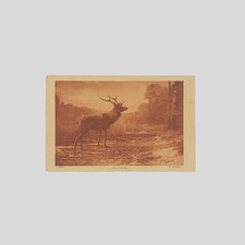 Cartolina d’epoca Maissen